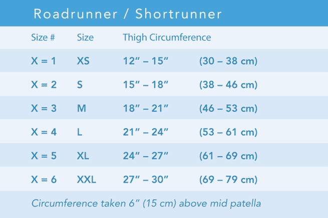 roadrunner-shortrunner-0.gif